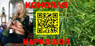 не бодяженный Кингисепп