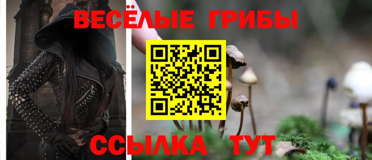 Галлюциногенные грибы GOLDEN TEACHER Карпинск